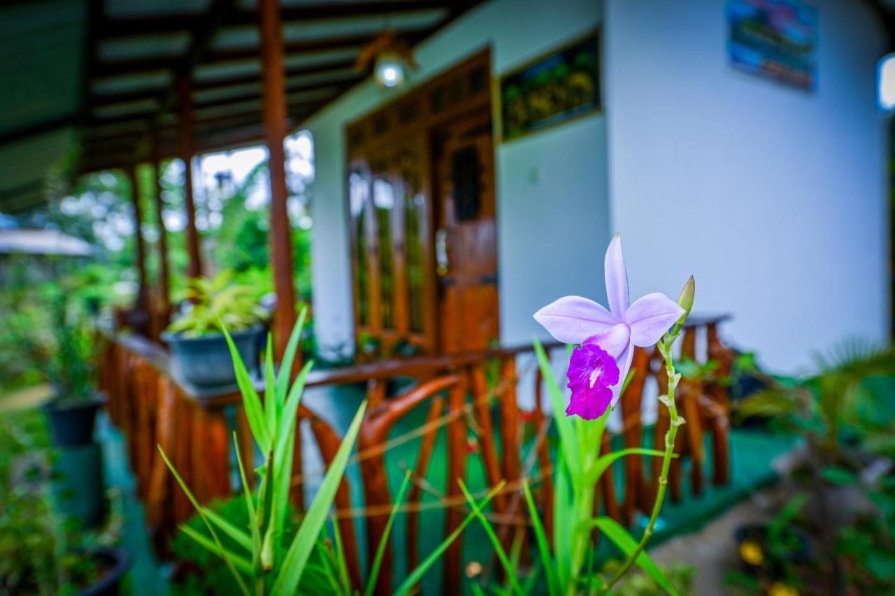 Astral Zone Cottage เอลลา ภายนอก รูปภาพ